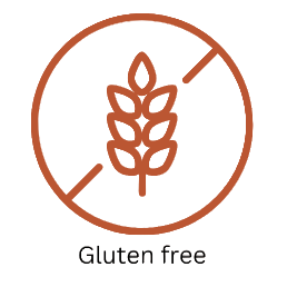 Gluten free symbol with wheat stalk icon on a white background