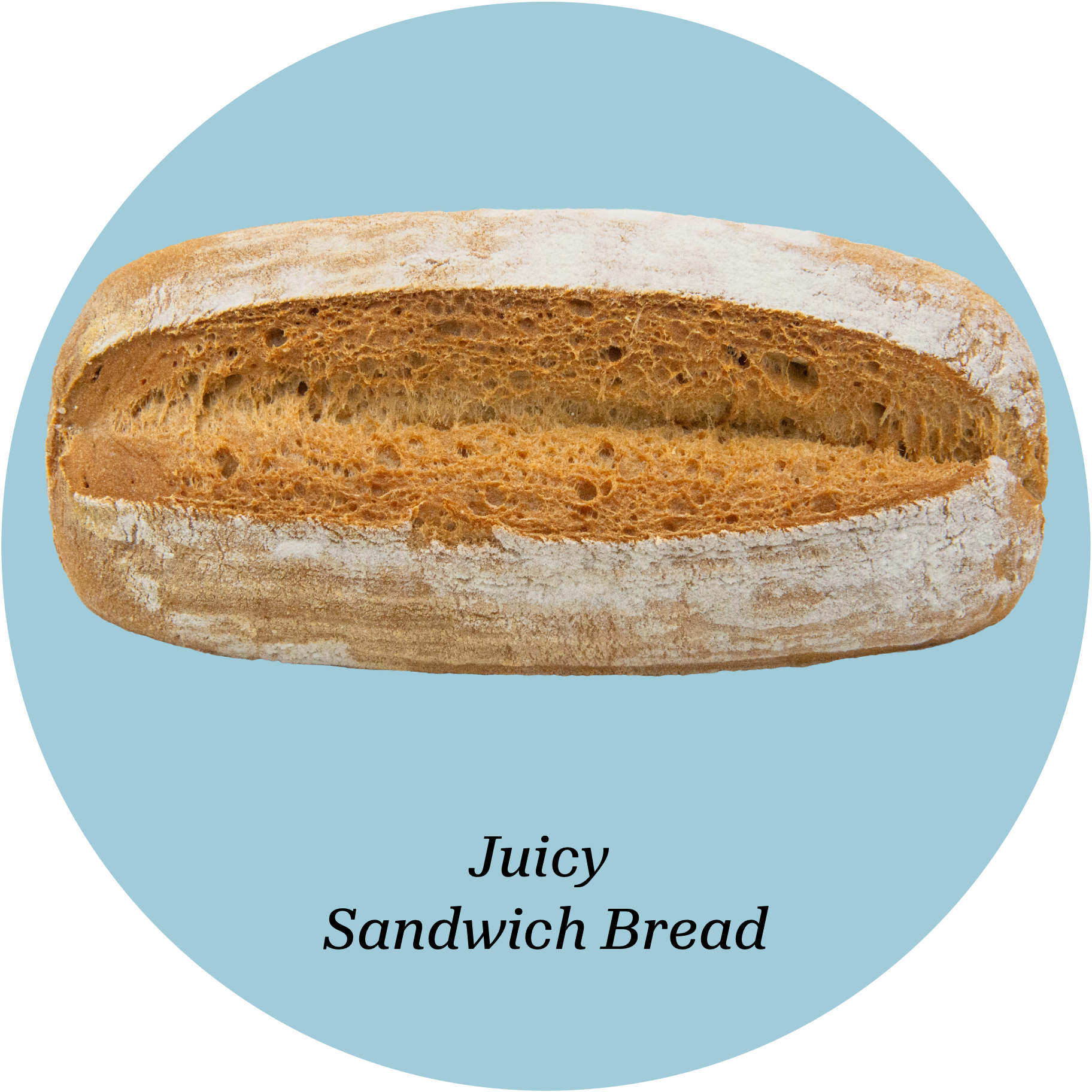 Loaf of 'Juicy Sandwich Bread' from Brot & Crust on a light blue background